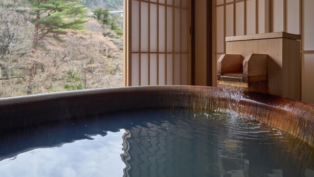 A hot spring bath with a view of a mountainous landscape. - Nikko Garden Hotel (Nasushiobara)