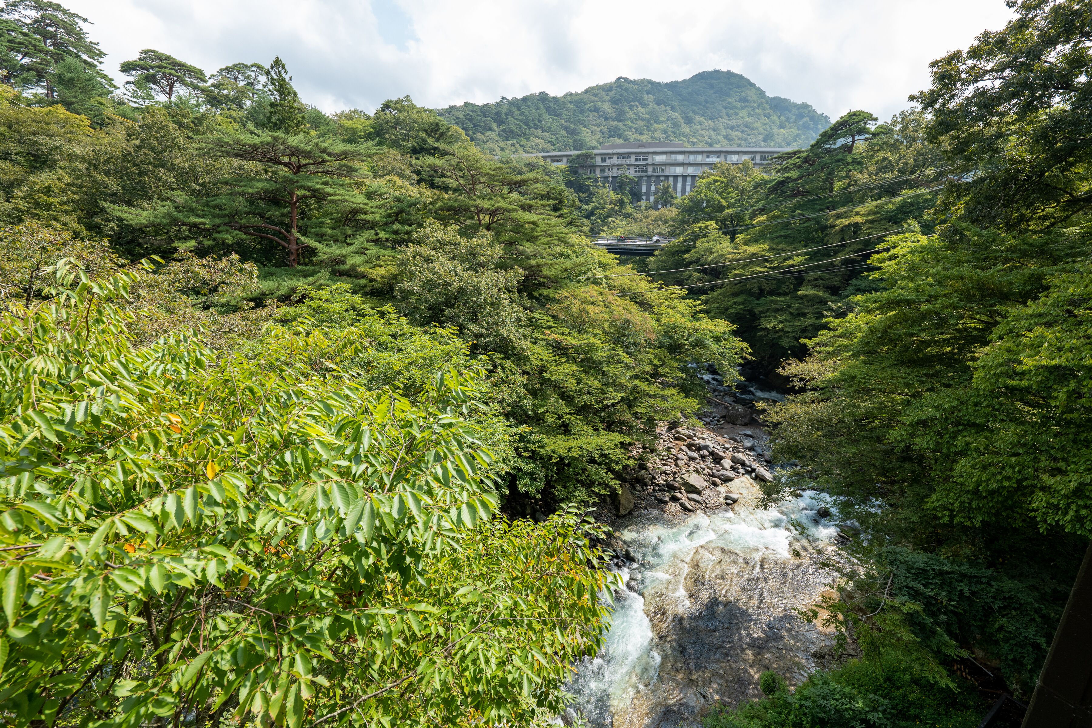 A lush green landscape with a waterfall and a bridge in the background.