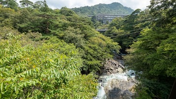 A lush green landscape with a waterfall and a bridge in the background.