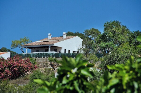 Un edificio blanco con techo de tejas, rodeado de vegetación y árboles.