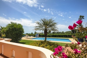 A pool area with a palm tree, a clear sky, and a view of the surrounding greenery.