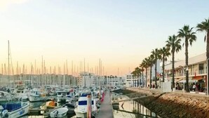 A marina with boats docked along a wooden pier, a sandy beach with palm trees, and a building with a sign that reads "ELIGIOS".