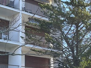 外観の詳細