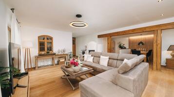 Smart TV, fireplace, books