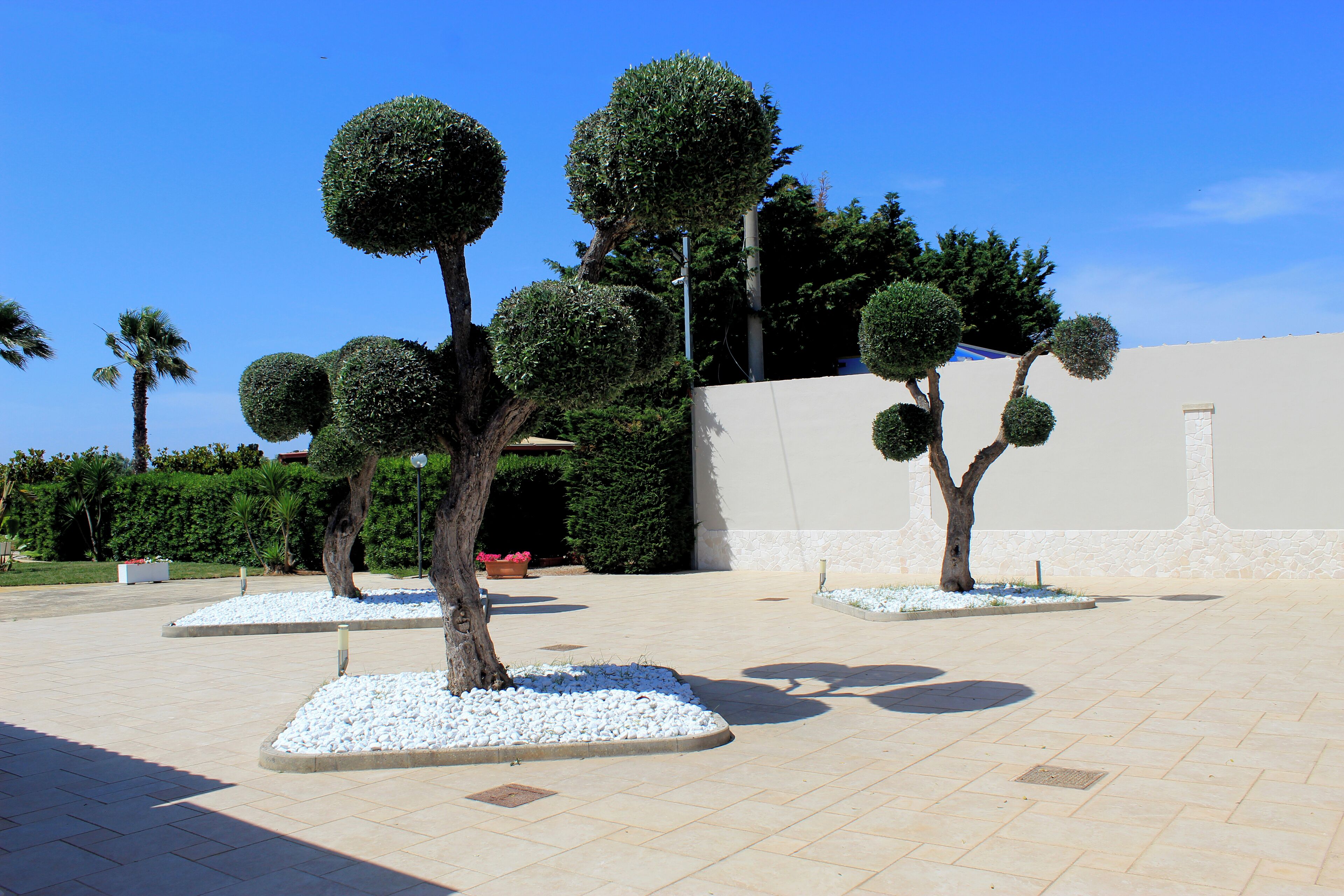 Un'area verde curata con alberi dalle forme sferiche e un viale lastricato.