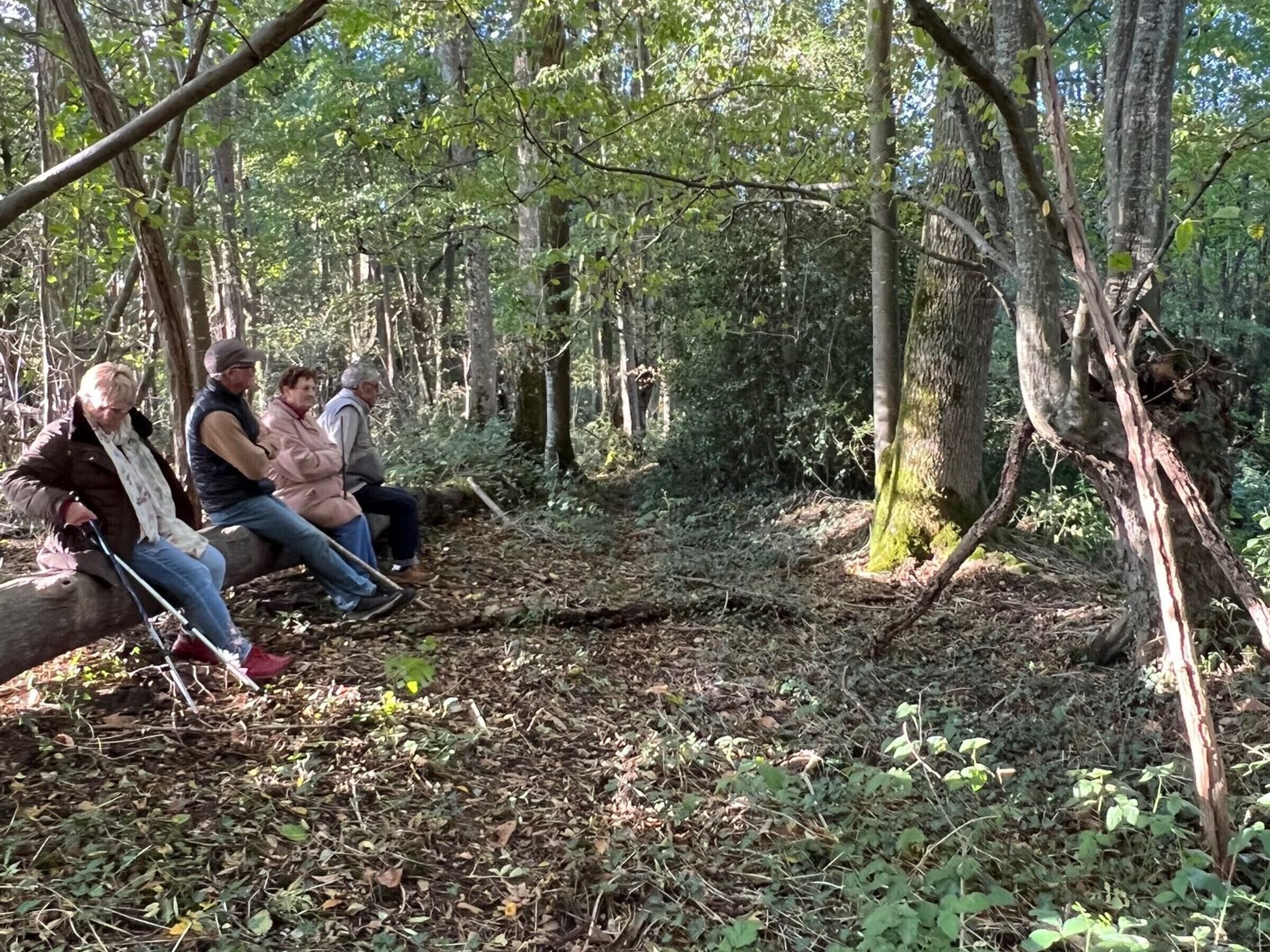 Drei Personen sitzen auf einem Baumstamm in einem bewaldeten Gebiet mit dichtem Baumbestand und Unterholz.