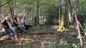 Drei Personen sitzen auf einem Baumstamm in einem bewaldeten Gebiet mit dichtem Baumbestand und Unterholz.