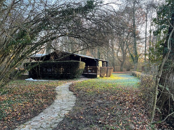 A rustic wooden cabin with a stone pathway leading to it, surrounded by leaf-covered ground and trees. - Nature Retreat: Lakeside Chalet with Fishing and Scenic Views (Dehault)