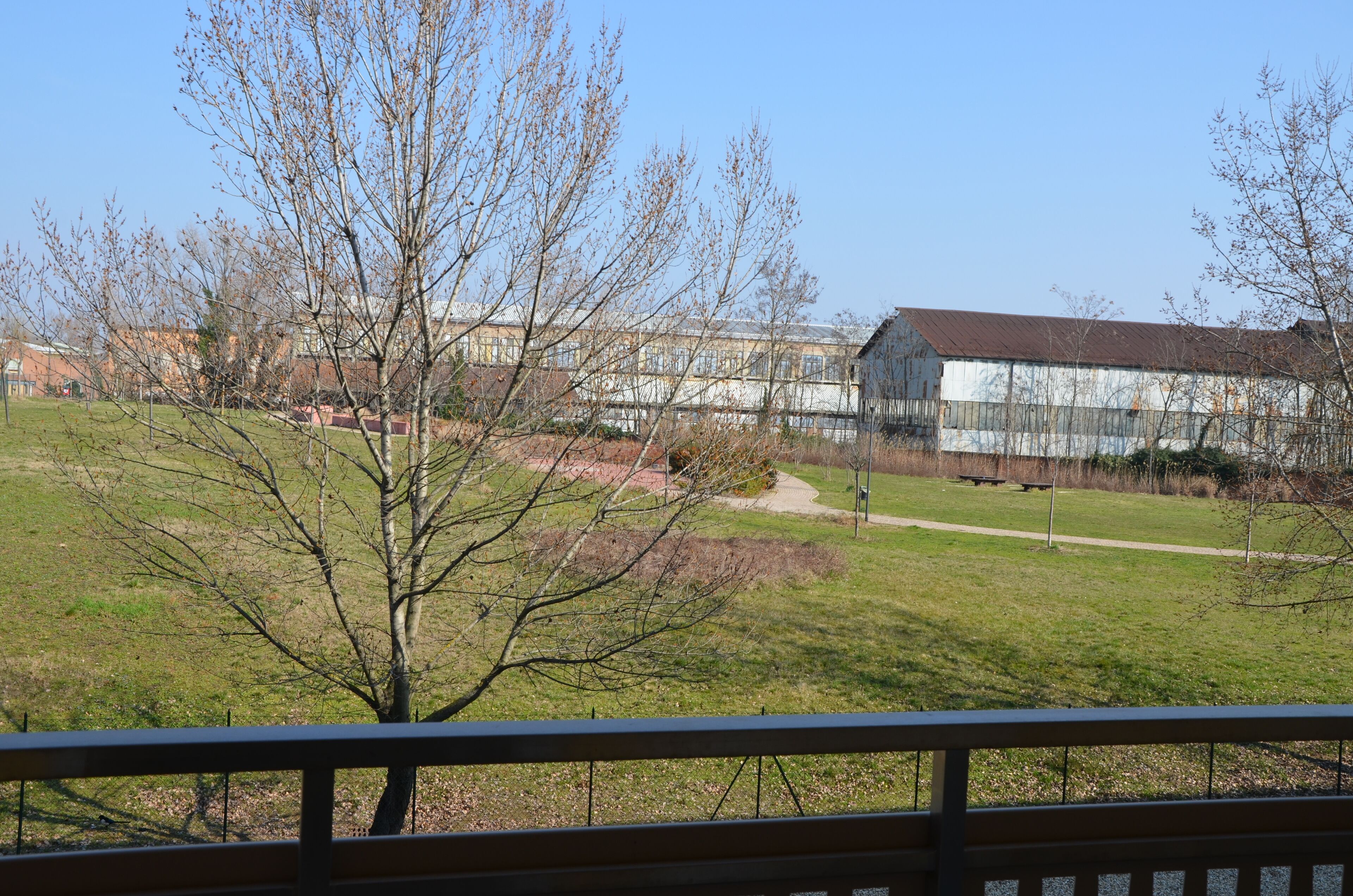 A view of a park with a building in the background.