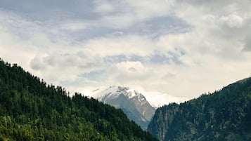 Severdighet