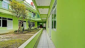 Un couloir aux murs verts, doté d’un sol carrelé et agrémenté d’un petit espace jardin avec des arbres et des plantes.