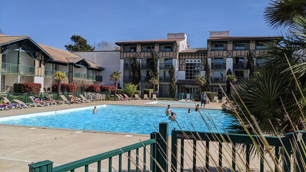 A swimming pool with lounge chairs and palm trees. - Sunny terrace overlooking golf course and forest.★ (Moliets et Maâ)