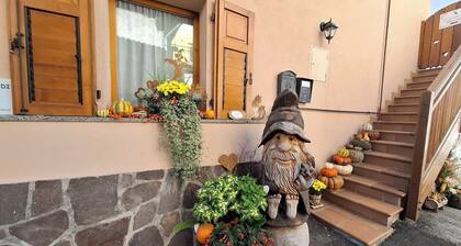 LE RONDINI 3 rooms Wi-Fi sun nature pet friendly panoramic veranda