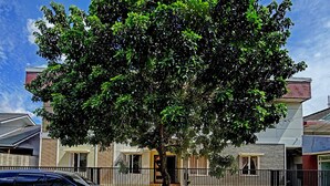 A tree-lined street with a black car parked in front of a building with a gated entrance. - OYO Life 91989 K24 Residence Syariah (Palembang)