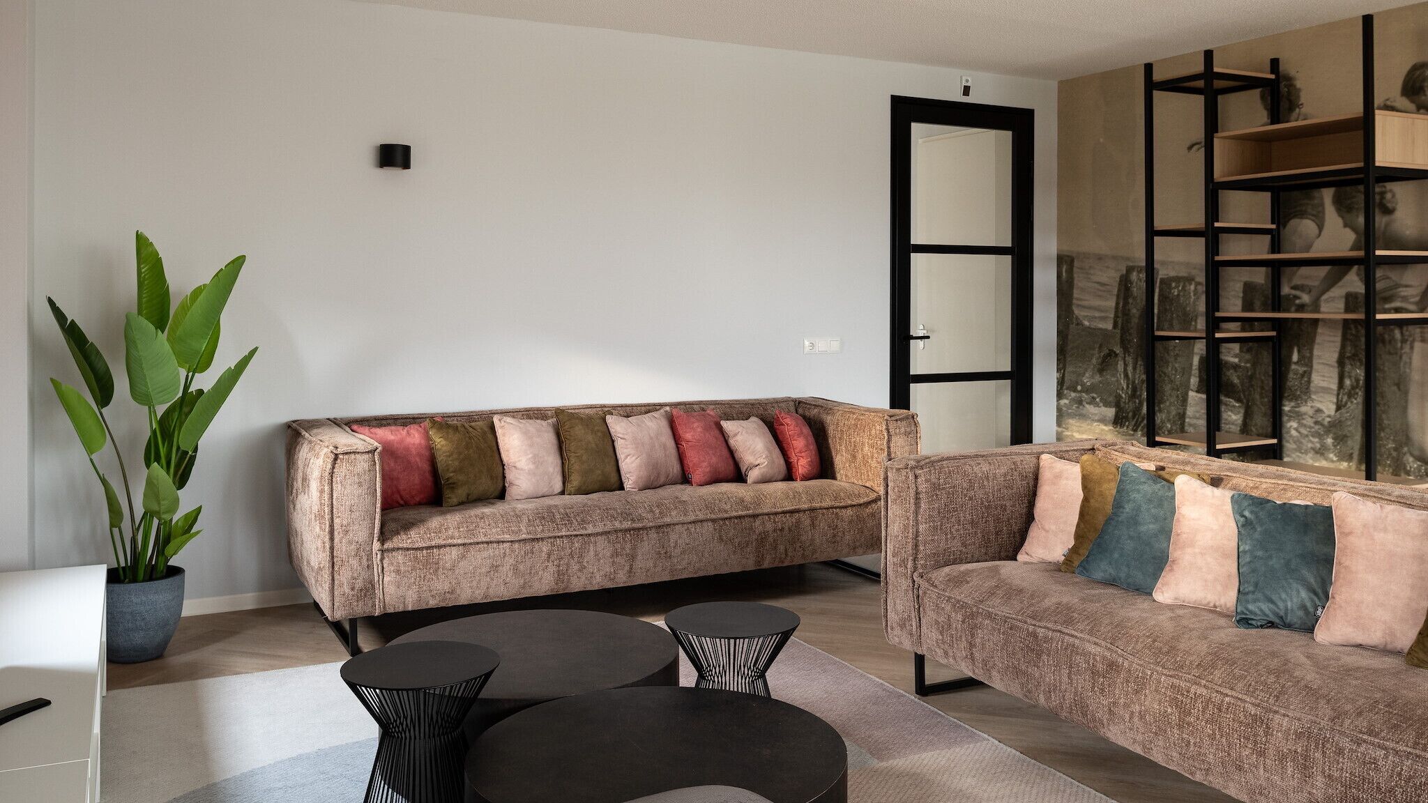 Ein Wohnzimmer mit zwei Sofas, einem Couchtisch und einer Topfpflanze.
