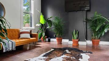 Smart TV, Netflix, Hulu, books