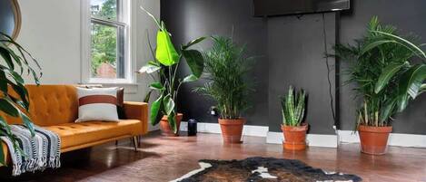 Smart TV, Netflix, Hulu, books