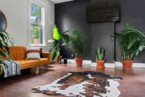 Smart TV, Netflix, Hulu, books