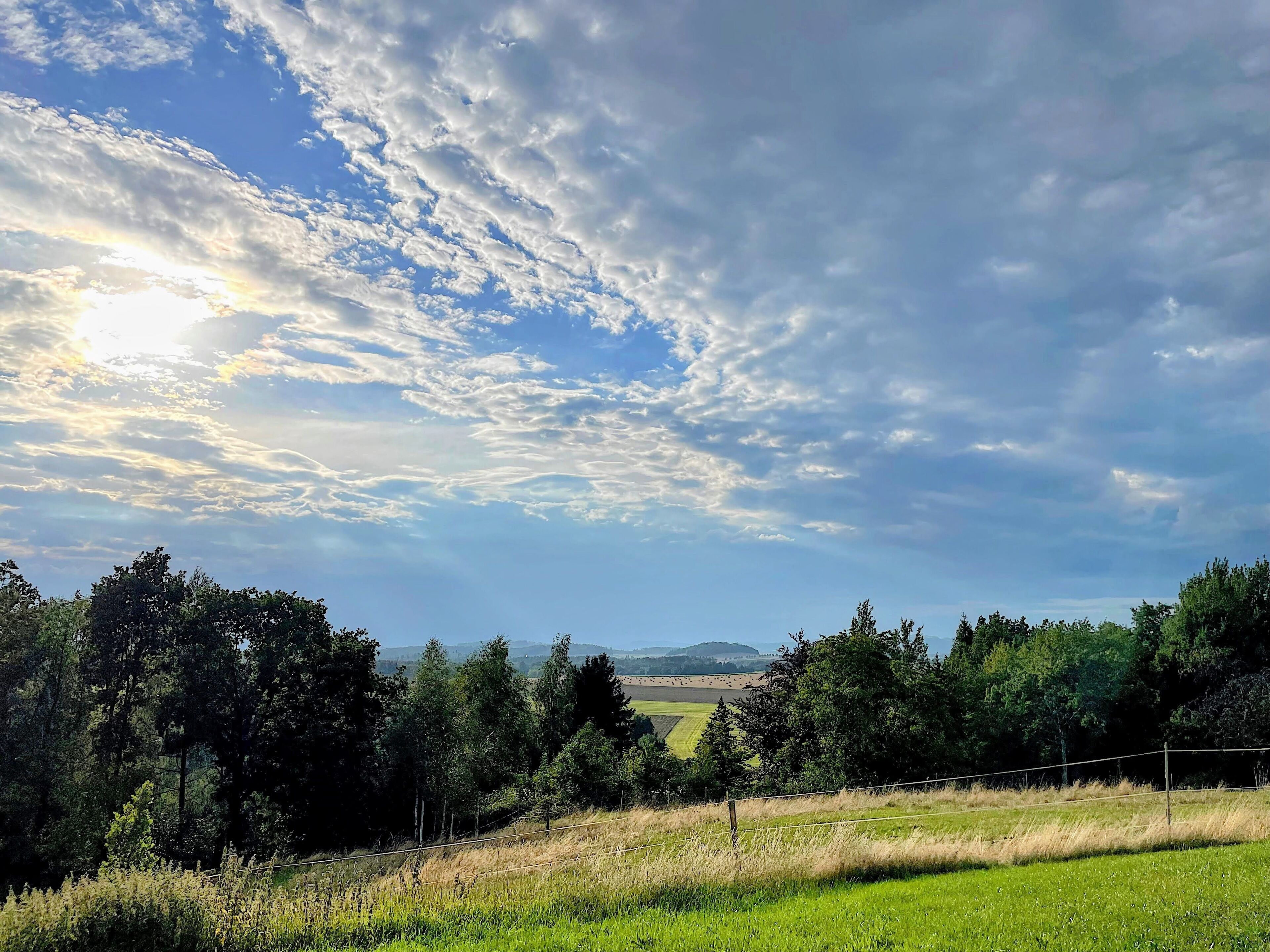 Paisaje rural con cielo despejado, árboles y una cerca.
