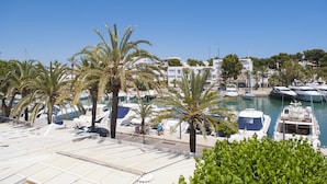 A marina with boats, palm trees, and buildings in the background.