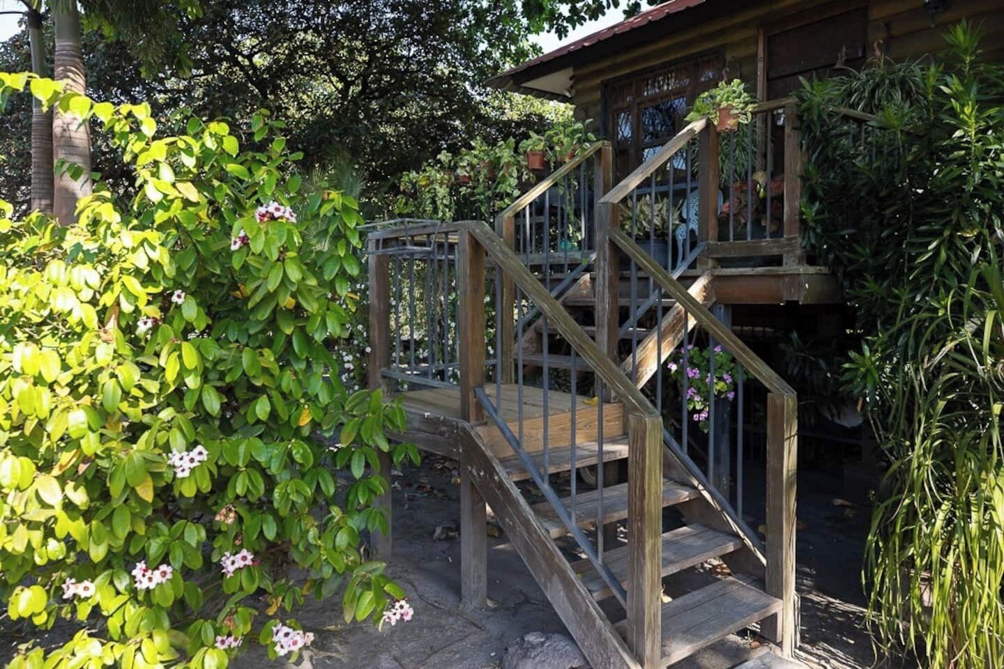 A wooden staircase leading to a wooden deck with potted plants.