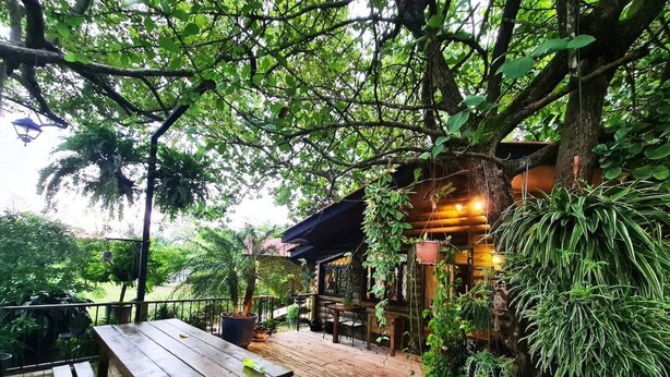 An outdoor wooden deck with a wooden table and benches, surrounded by lush greenery and trees.