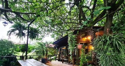 ★ Quinta Pavo Real by AcoModo - The Enchanted House