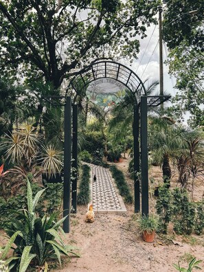 Área da propriedade