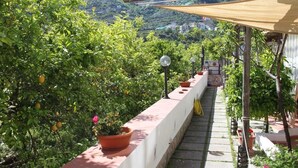 Um jardim no terraço com plantas em vasos e vista para a paisagem ao redor.