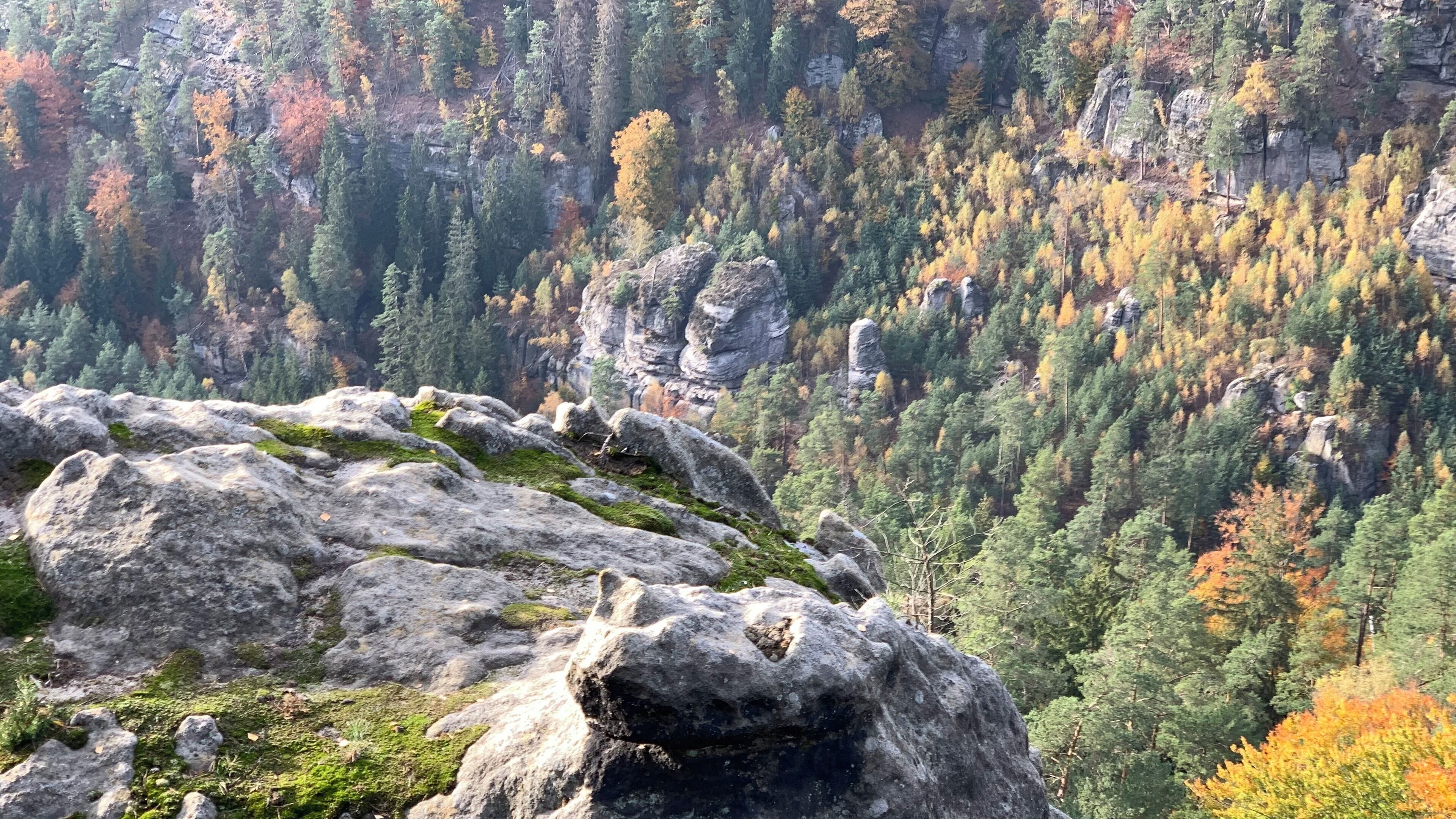 Een bergachtig landschap met rotsachtige uitstulpingen en dicht bos.