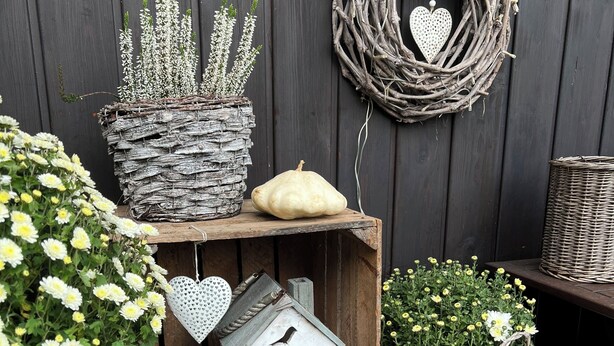 A rustic outdoor setting with wicker baskets, a lantern, and various potted plants. - Pension Laura (Chribska)
