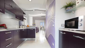 GroĂer KĂŒhlschrank, Mikrowelle, Herdplatte