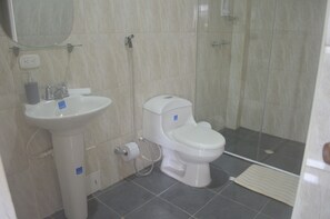 Assecador de cabells, bidet, tovalloles i sabó 