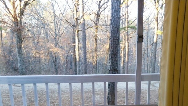 A wooden bench with a potted plant and two bear figurines. - Baby Bear Cabin 3 - community pool and hottub. (Branson)