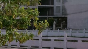 A building with a white fence, a tree with green leaves, and a paved area.