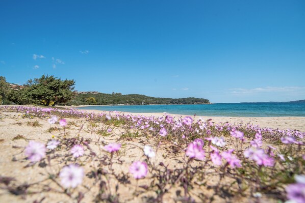 Plage à proximité