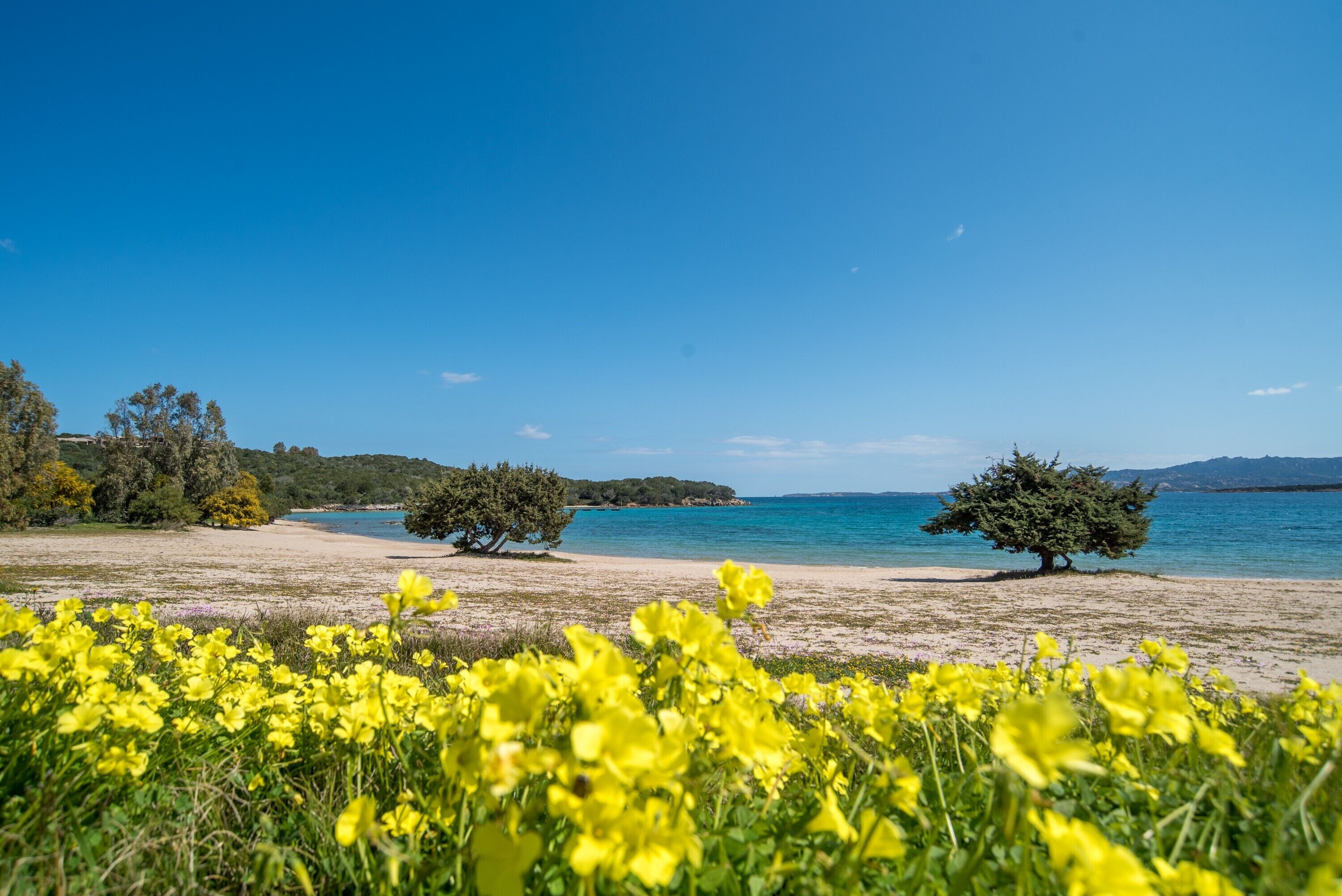 Una spiaggia nelle vicinanze