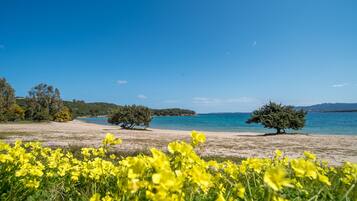 Una spiaggia nelle vicinanze