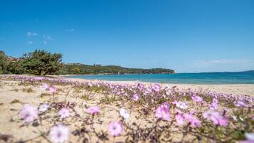 Playa en los alrededores