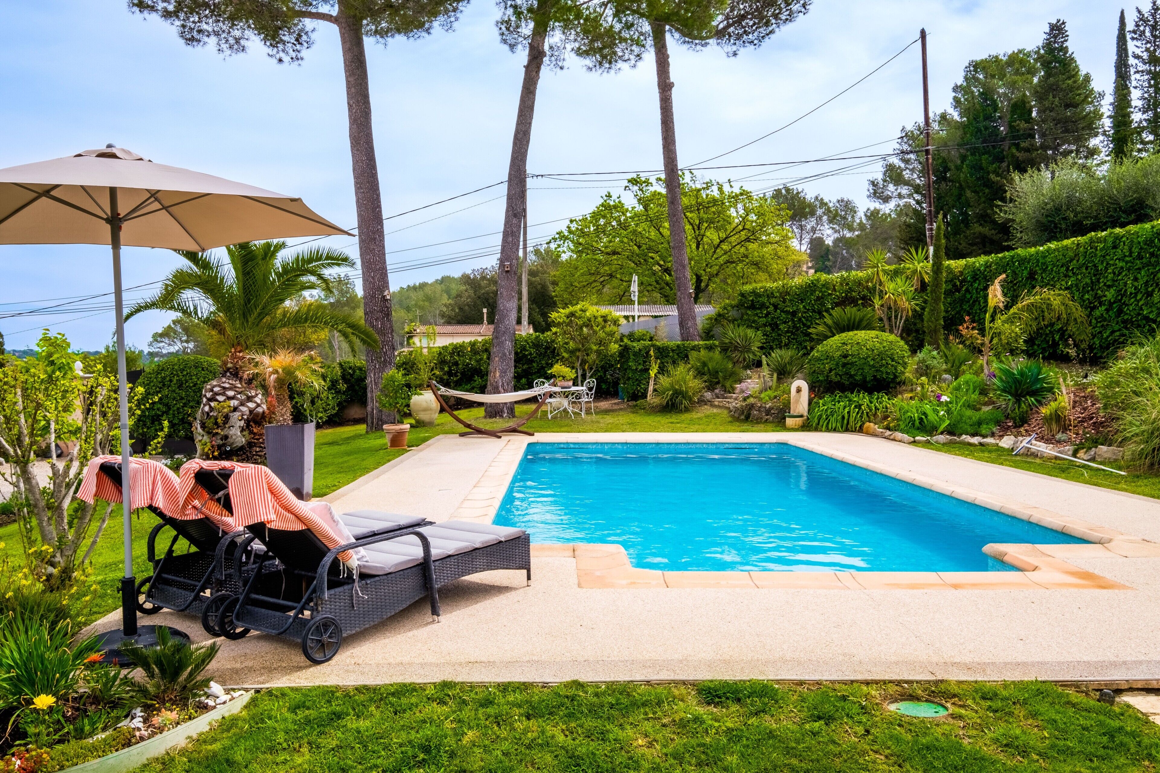 A swimming pool with lounge chairs and an umbrella, surrounded by greenery and tall trees.
