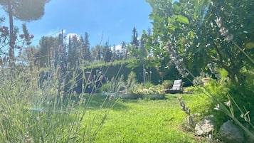 A garden with grass, rocks, and a chair.