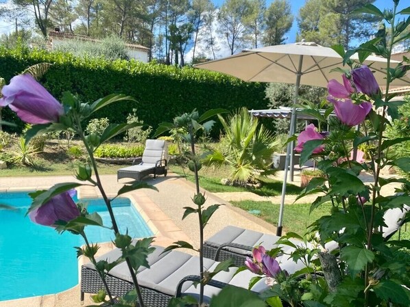 Un área junto a la piscina con sillas de descanso, una pérgola con toldo y un seto al fondo.