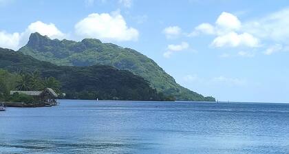HUAHINE - Fare Teakavehere Tipanier + voiture