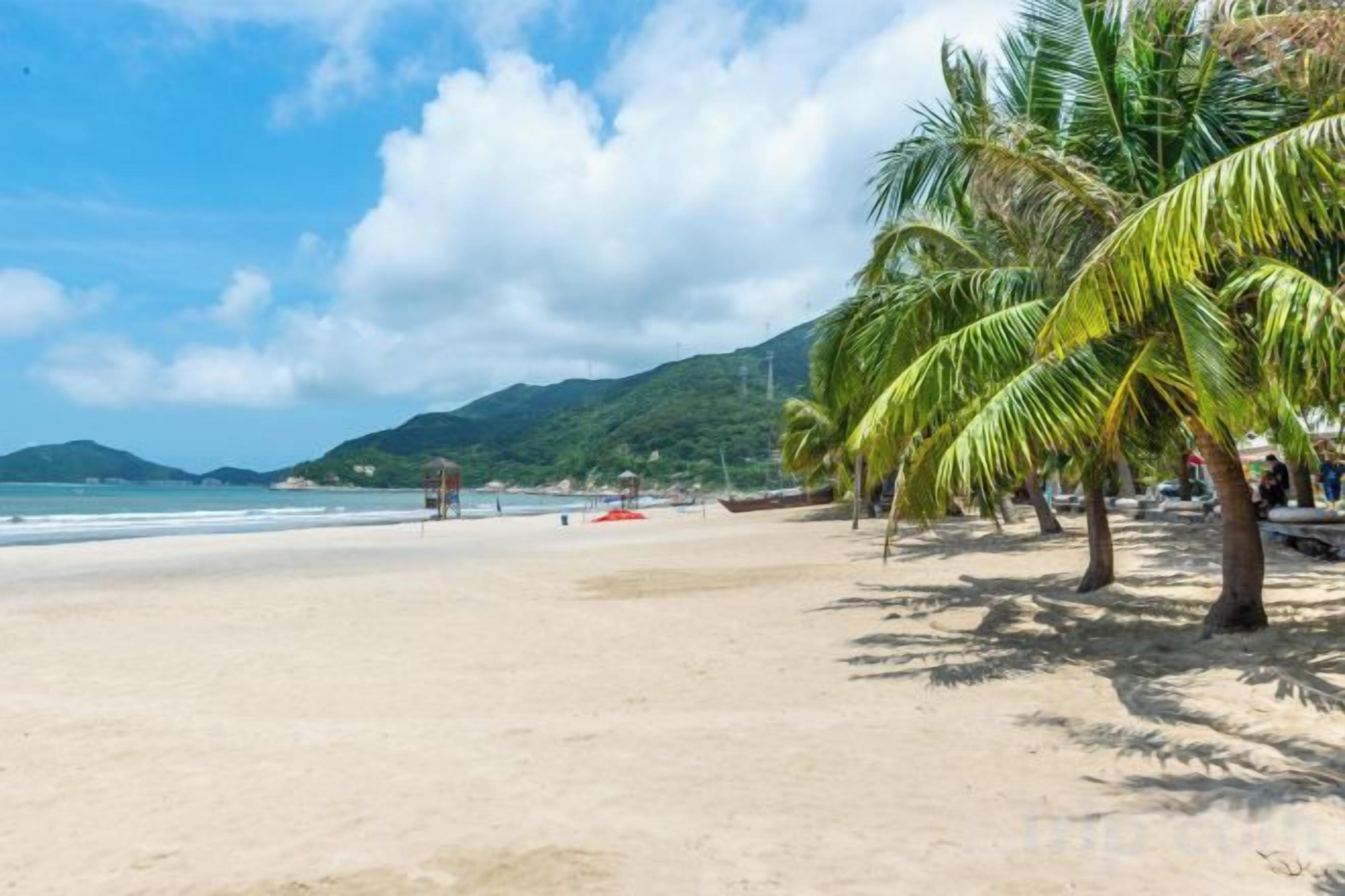 A beach with palm trees, a clear sky, and a calm sea.
