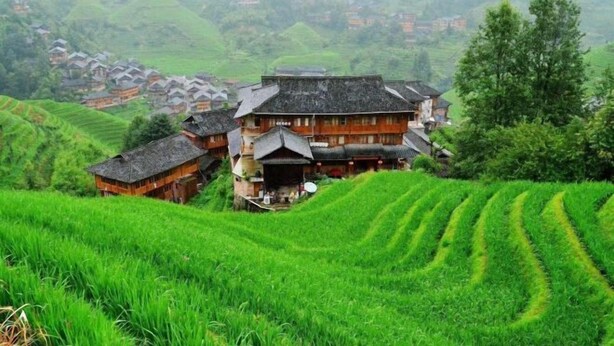 Terraced rice fields, traditional wooden houses, and a mountainous landscape. - Longji Terrace Chunyuge Inn (Longsheng)