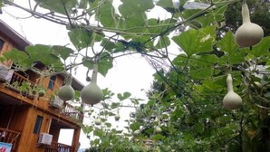 Property grounds - Longji Terrace Chunyuge Inn (Longsheng)