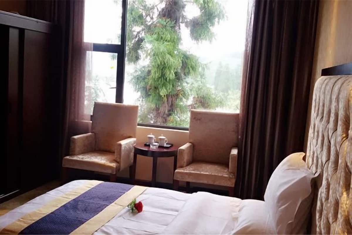 Quarto de hotel com uma cama, duas poltronas, uma pequena mesa com um bule e xícara, e uma janela com vista para árvores.