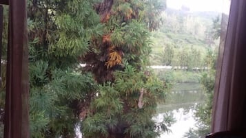 A view through a window with a river and trees in the background.