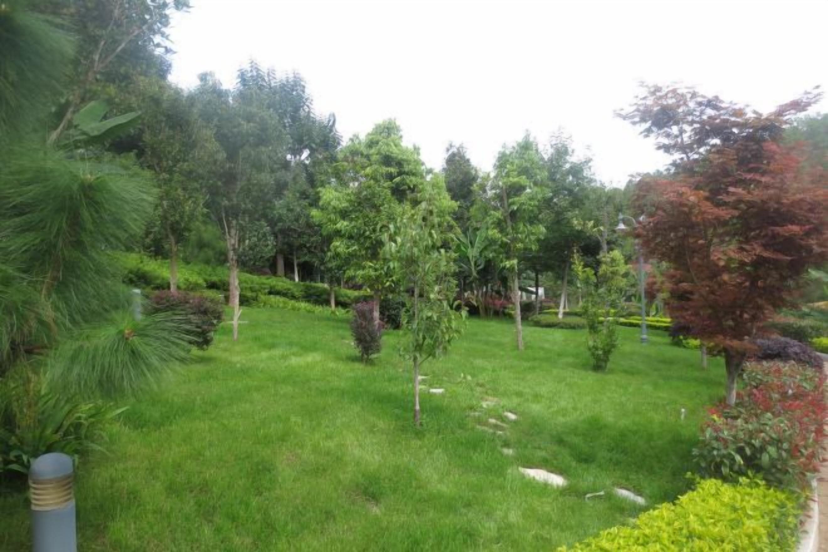 A well-maintained garden with various trees and shrubs, a grassy area, and a stone pathway.
