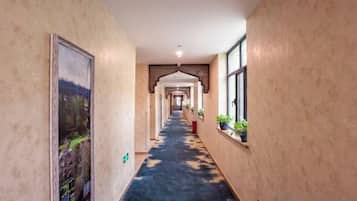 Corredor com carpete estampado, quadro na parede à esquerda e plantas em vasos à direita.